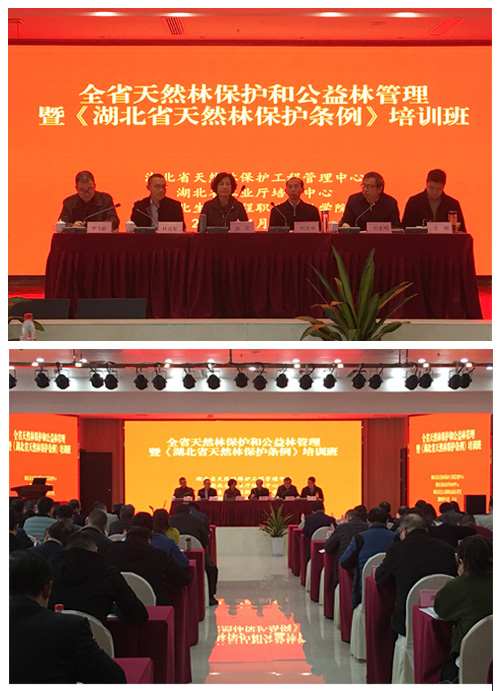 全省天然林保护盒公益林管理培训班 新闻.jpg