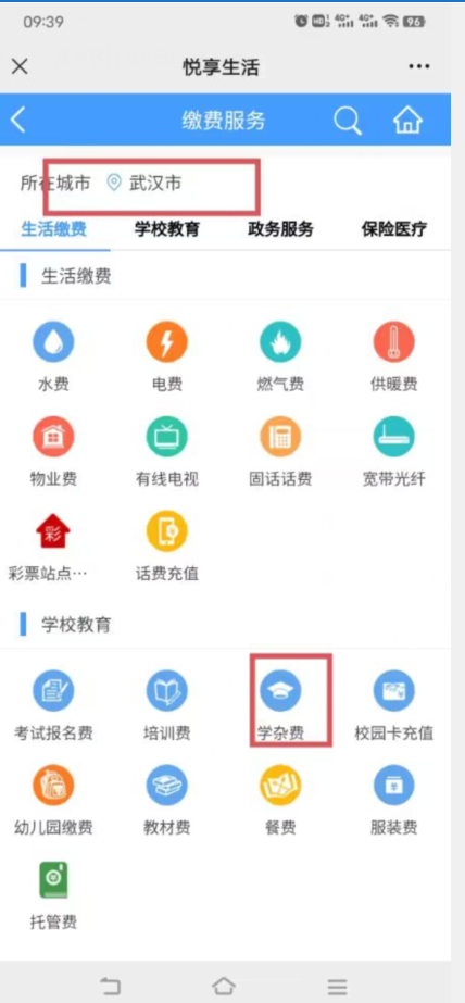 1742520006548893.png