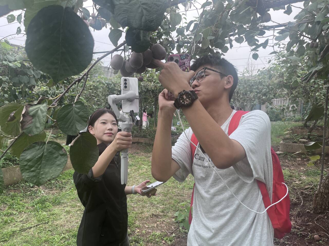 1759110994794070.jpg 1759110994794070.jpg