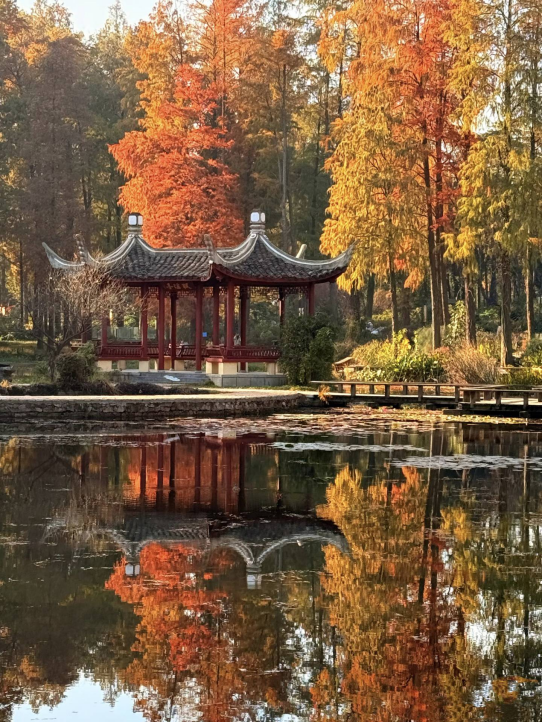 1764684435441711.png 1764684435441711.png