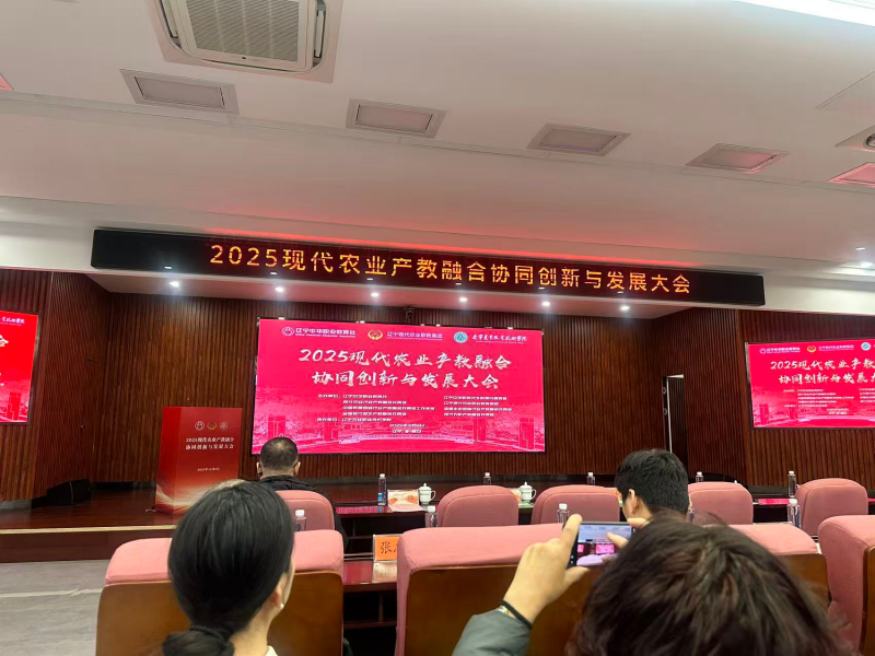 1765176262409416.png 图1_副本.png