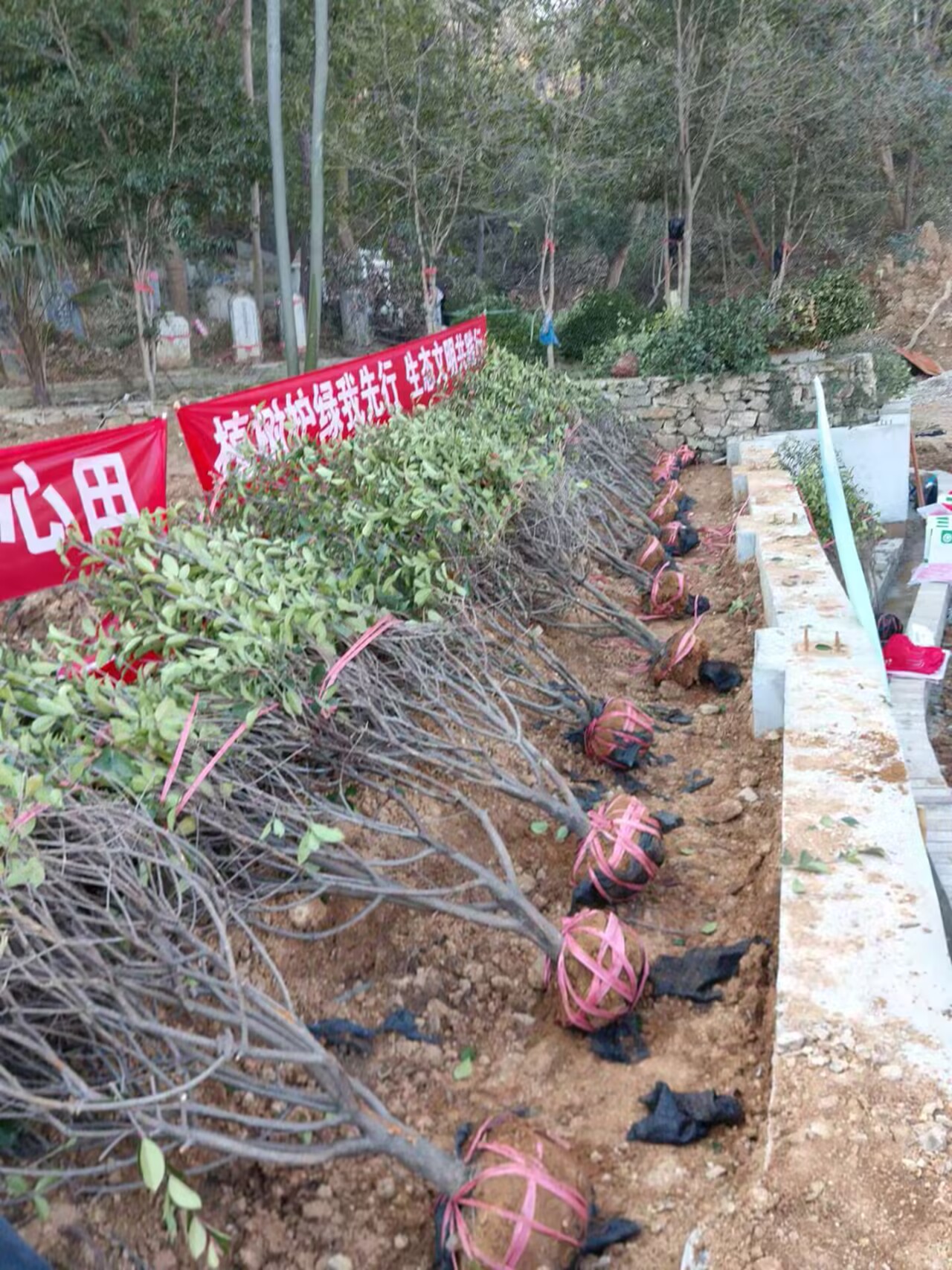 1773216961673089.jpg 1773216961673089.jpg