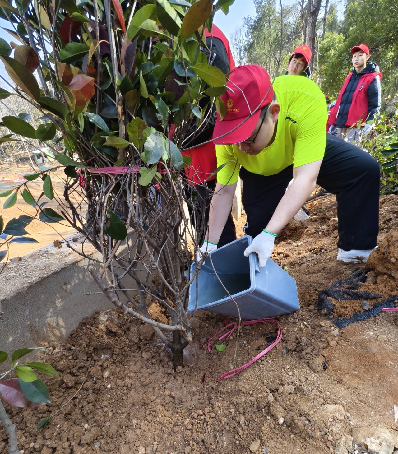 1773217035916138.jpg 1773217035916138.jpg