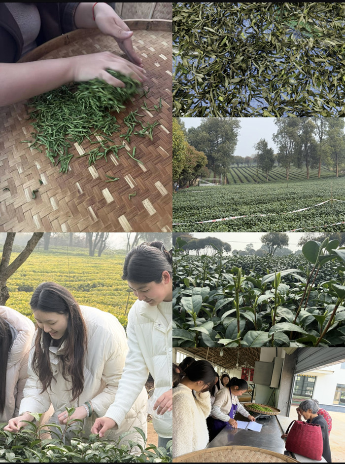 1775117715497294.jpg 1775117715497294.jpg