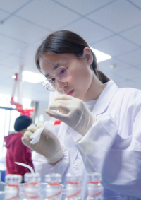 1775636520734179.png 图片1_副本_副本.png