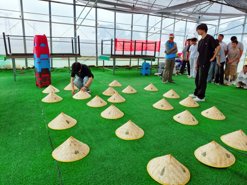 IMG20260527112703_副本.jpg